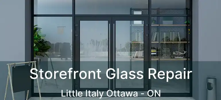  Storefront Glass Repair Little Italy Ottawa - ON