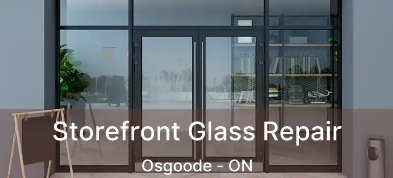  Storefront Glass Repair Osgoode - ON