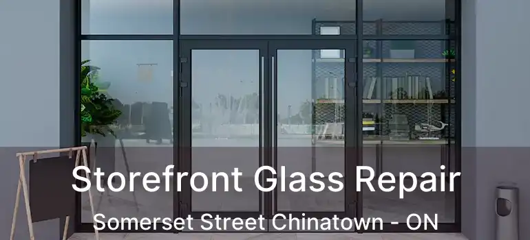  Storefront Glass Repair Somerset Street Chinatown - ON