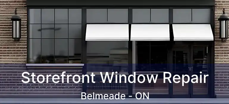  Storefront Window Repair Belmeade - ON