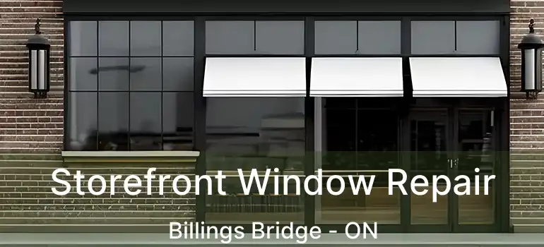  Storefront Window Repair Billings Bridge - ON