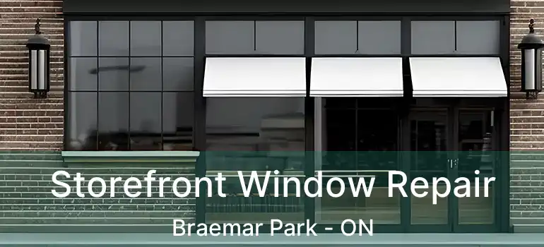  Storefront Window Repair Braemar Park - ON