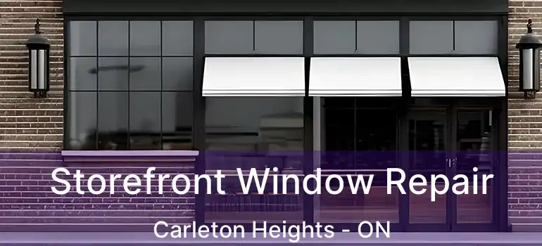  Storefront Window Repair Carleton Heights - ON