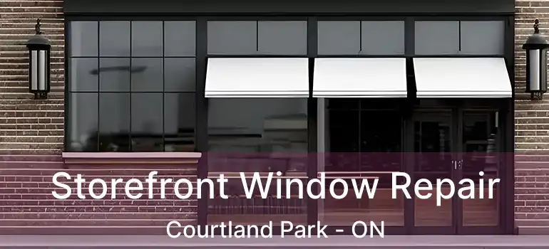  Storefront Window Repair Courtland Park - ON