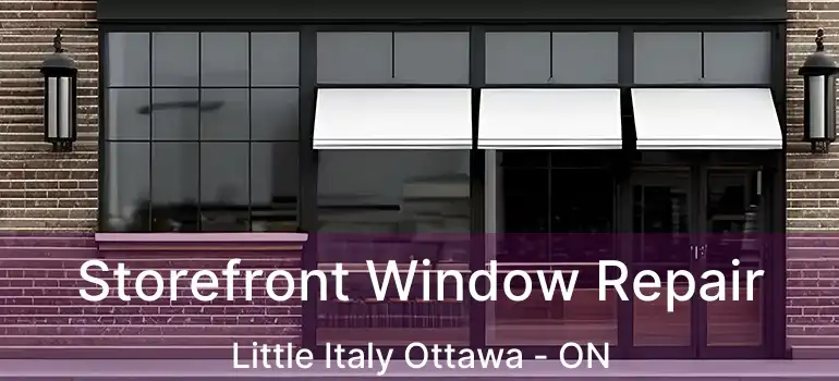  Storefront Window Repair Little Italy Ottawa - ON