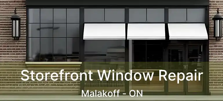  Storefront Window Repair Malakoff - ON