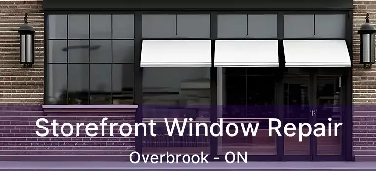  Storefront Window Repair Overbrook - ON