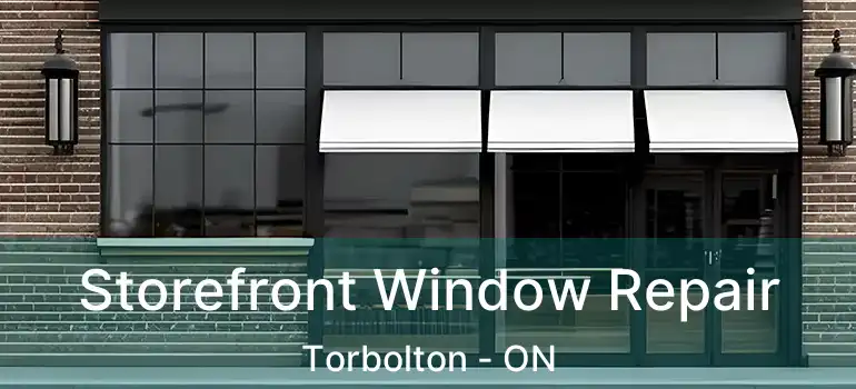  Storefront Window Repair Torbolton - ON