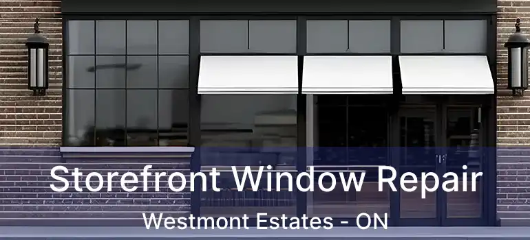  Storefront Window Repair Westmont Estates - ON