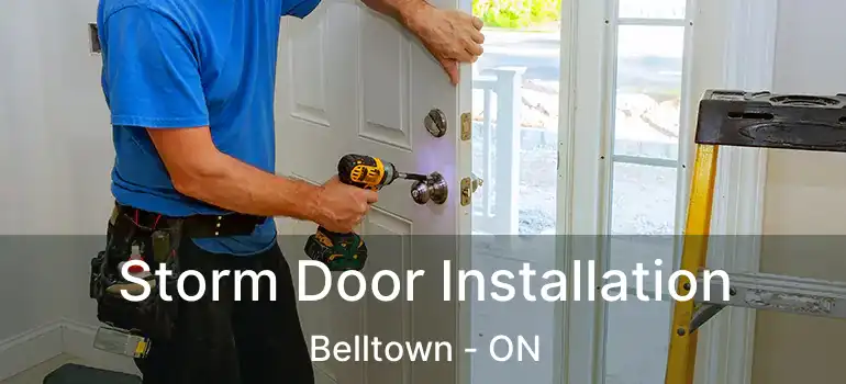  Storm Door Installation Belltown - ON