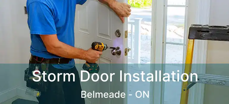  Storm Door Installation Belmeade - ON