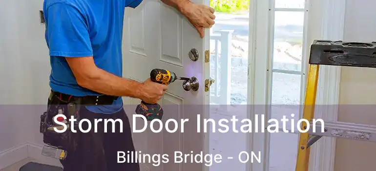  Storm Door Installation Billings Bridge - ON