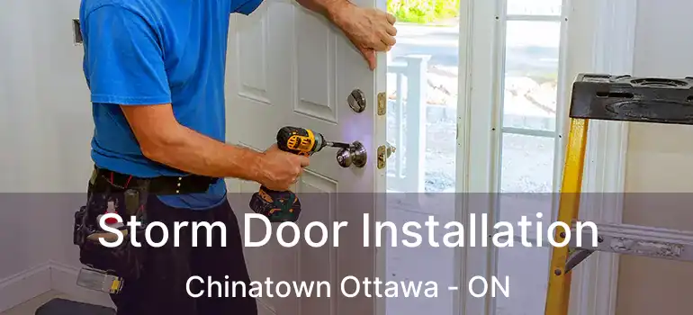  Storm Door Installation Chinatown Ottawa - ON