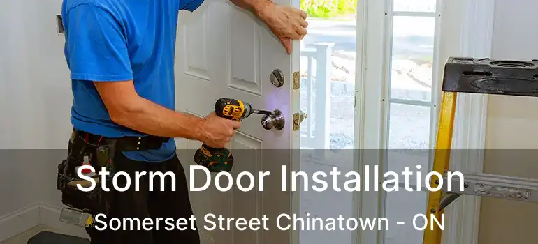  Storm Door Installation Somerset Street Chinatown - ON