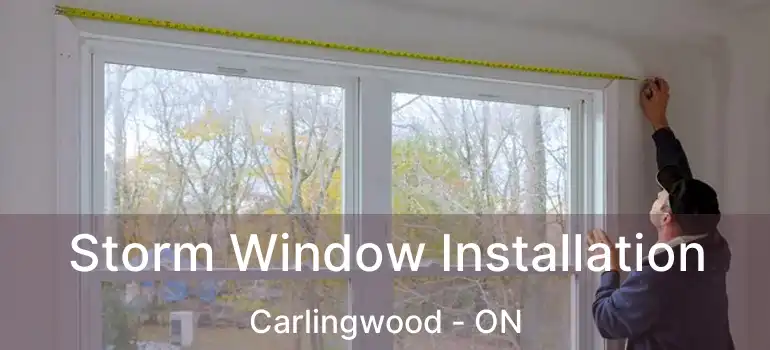  Storm Window Installation Carlingwood - ON