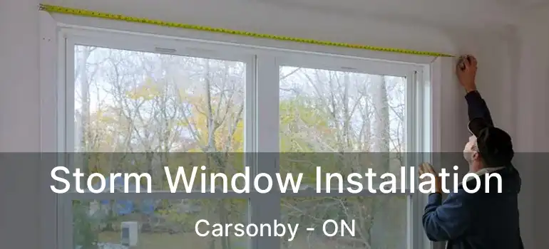  Storm Window Installation Carsonby - ON