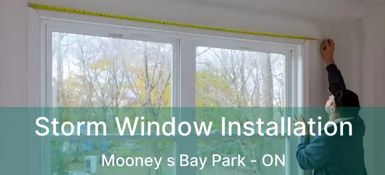  Storm Window Installation Mooney s Bay Park - ON