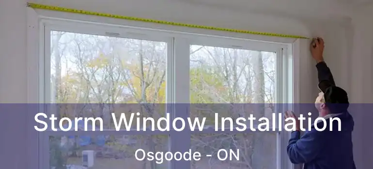  Storm Window Installation Osgoode - ON