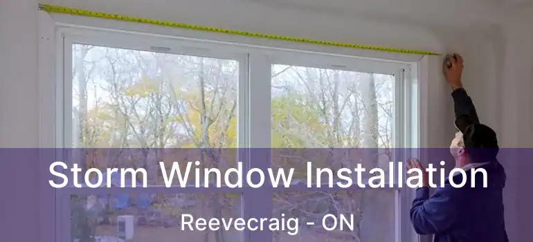  Storm Window Installation Reevecraig - ON