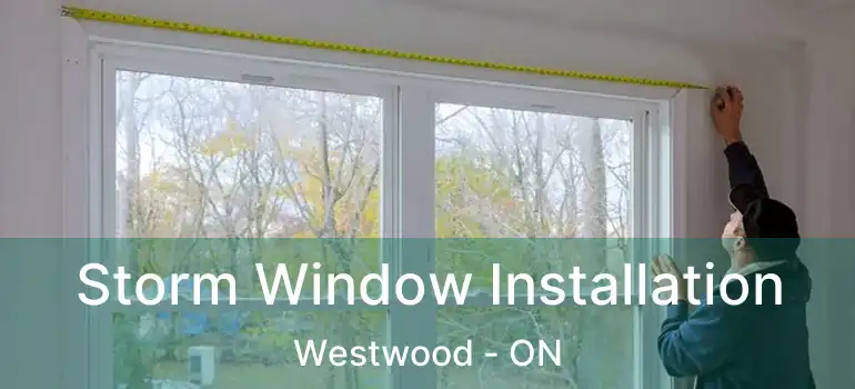  Storm Window Installation Westwood - ON