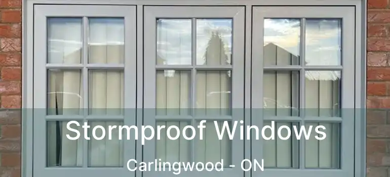  Stormproof Windows Carlingwood - ON