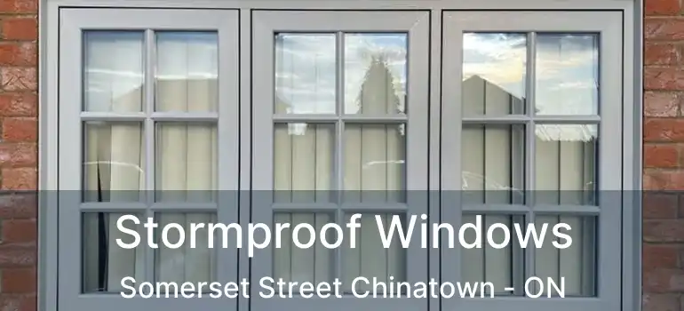  Stormproof Windows Somerset Street Chinatown - ON