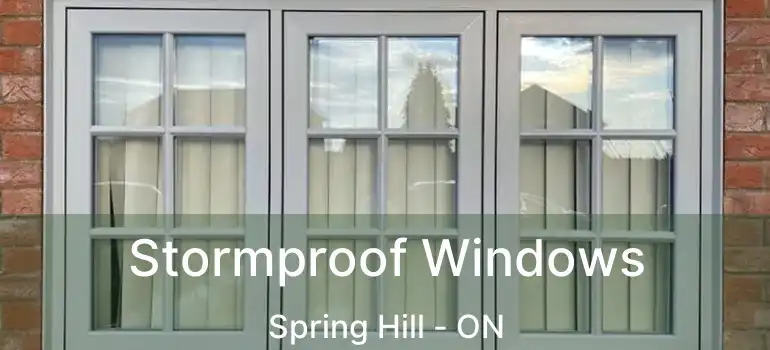  Stormproof Windows Spring Hill - ON