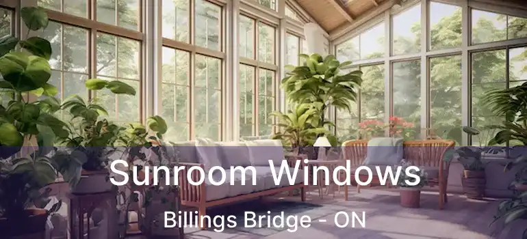  Sunroom Windows Billings Bridge - ON