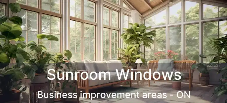  Sunroom Windows Business improvement areas - ON