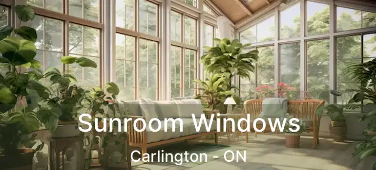  Sunroom Windows Carlington - ON