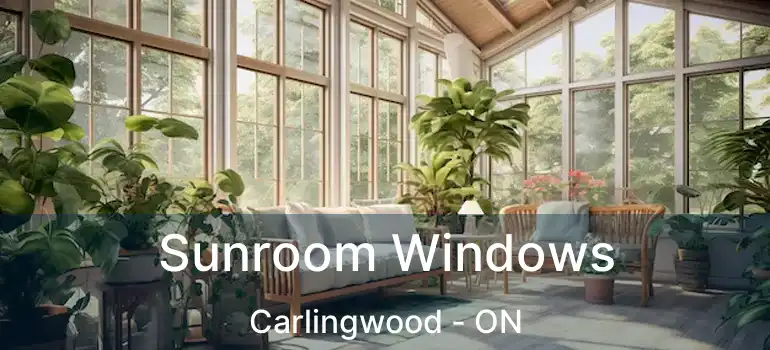  Sunroom Windows Carlingwood - ON