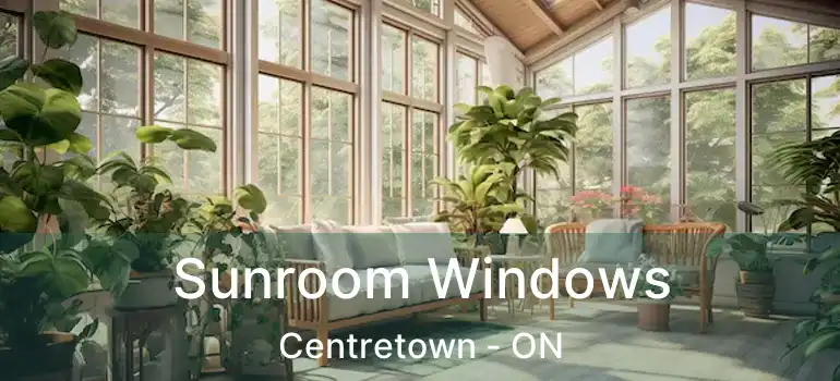  Sunroom Windows Centretown - ON