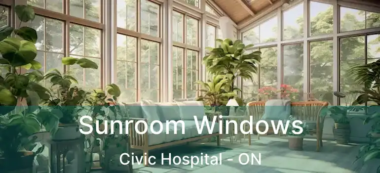  Sunroom Windows Civic Hospital - ON