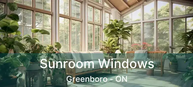  Sunroom Windows Greenboro - ON