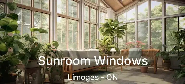  Sunroom Windows Limoges - ON