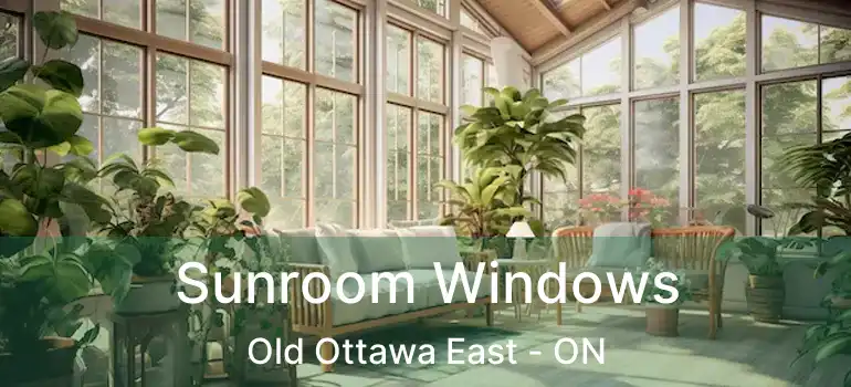  Sunroom Windows Old Ottawa East - ON