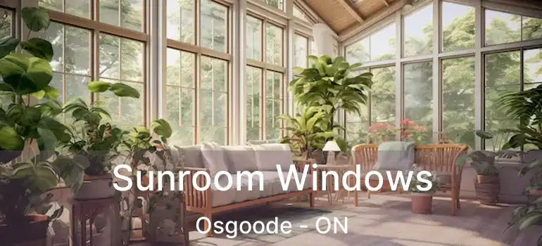  Sunroom Windows Osgoode - ON