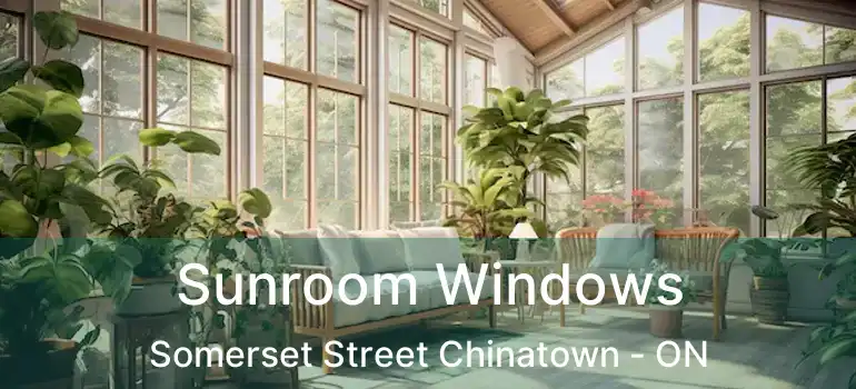  Sunroom Windows Somerset Street Chinatown - ON