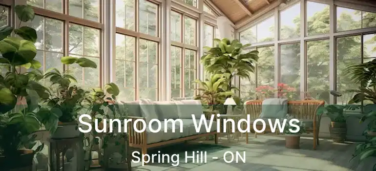  Sunroom Windows Spring Hill - ON