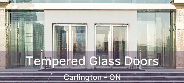  Tempered Glass Doors Carlington - ON