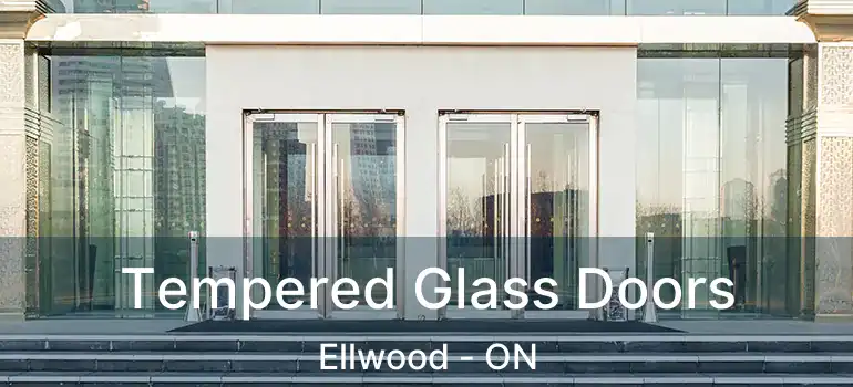  Tempered Glass Doors Ellwood - ON