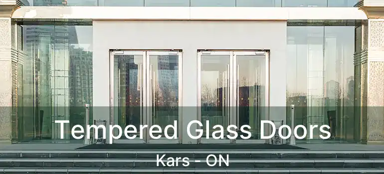  Tempered Glass Doors Kars - ON