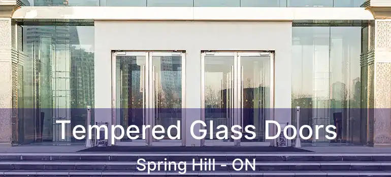  Tempered Glass Doors Spring Hill - ON