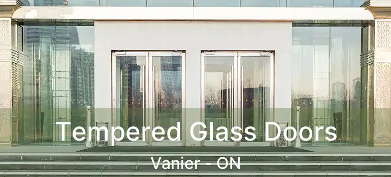  Tempered Glass Doors Vanier - ON