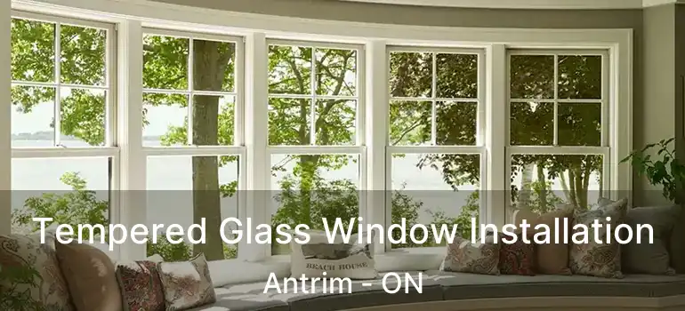  Tempered Glass Window Installation Antrim - ON