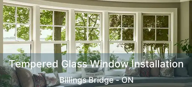  Tempered Glass Window Installation Billings Bridge - ON