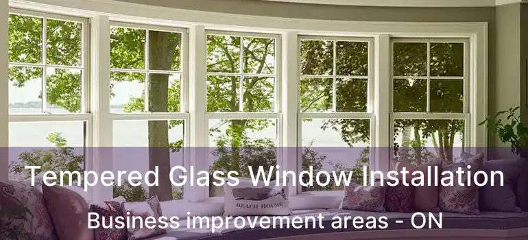  Tempered Glass Window Installation Business improvement areas - ON