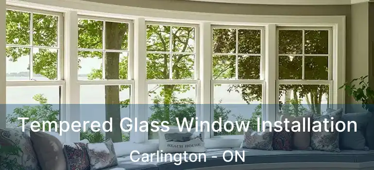  Tempered Glass Window Installation Carlington - ON