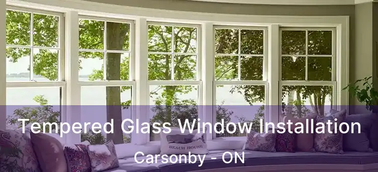  Tempered Glass Window Installation Carsonby - ON