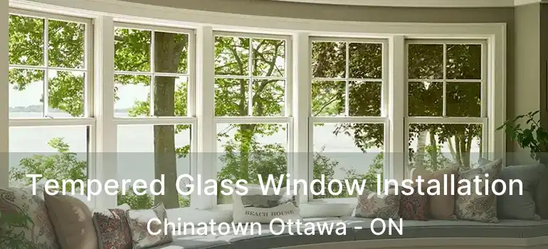  Tempered Glass Window Installation Chinatown Ottawa - ON